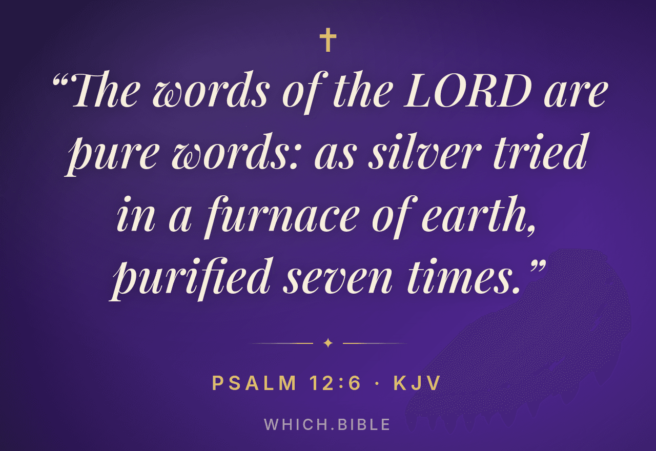 Comparing different Bible versions
